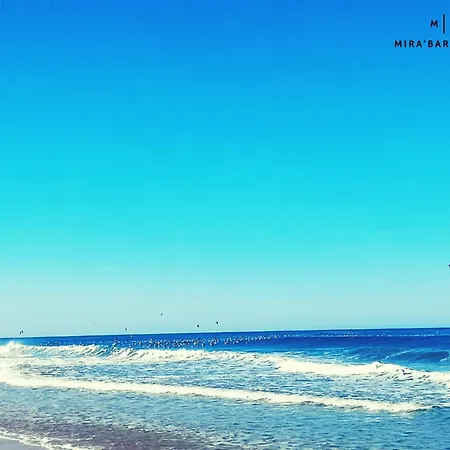 アパート Mira'barrinha Flats プライア・デ・ミラ